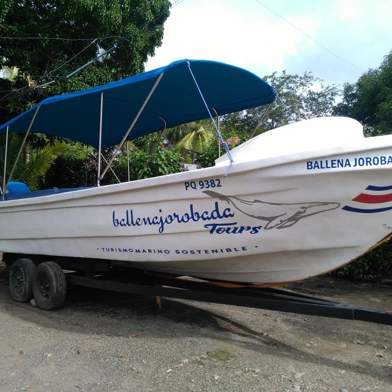 Ballena Jorobada Tours boat on land
