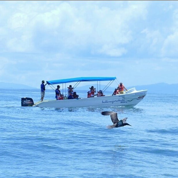 Marine wildlife alongside our boat