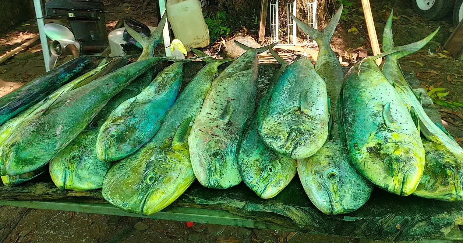 Deep Sea Fishing – Full Day – 2