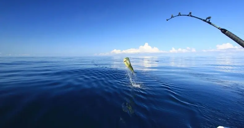 Deep Sea Fishing – Full Day – 3