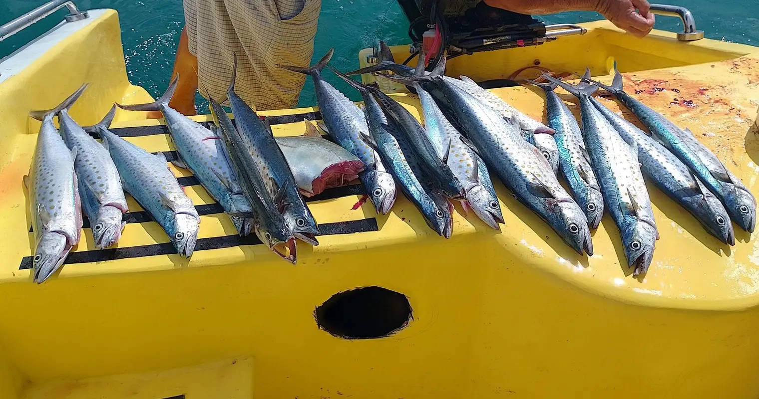 Deep Sea Fishing – Full Day – 4