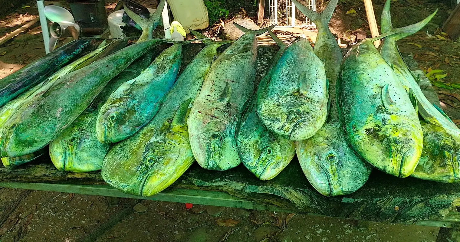 Coastal Fishing – Half Day – 4