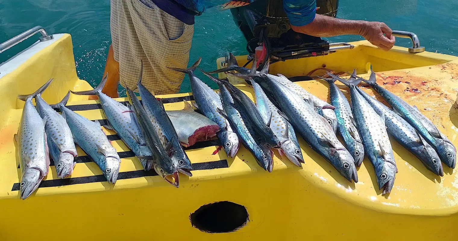 Coastal Fishing – Half Day – 5