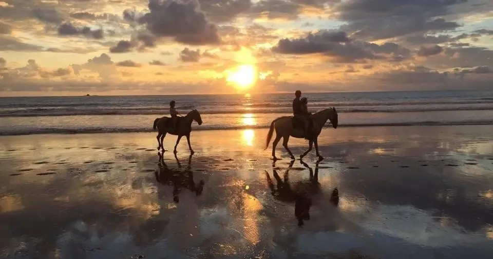 Uvita Horseback Riding – 3