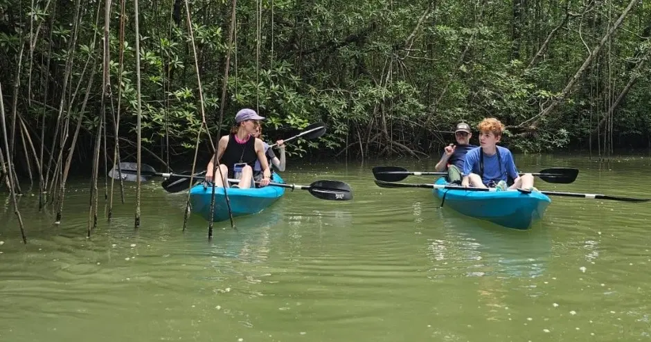 Mangrove Kayak – 5