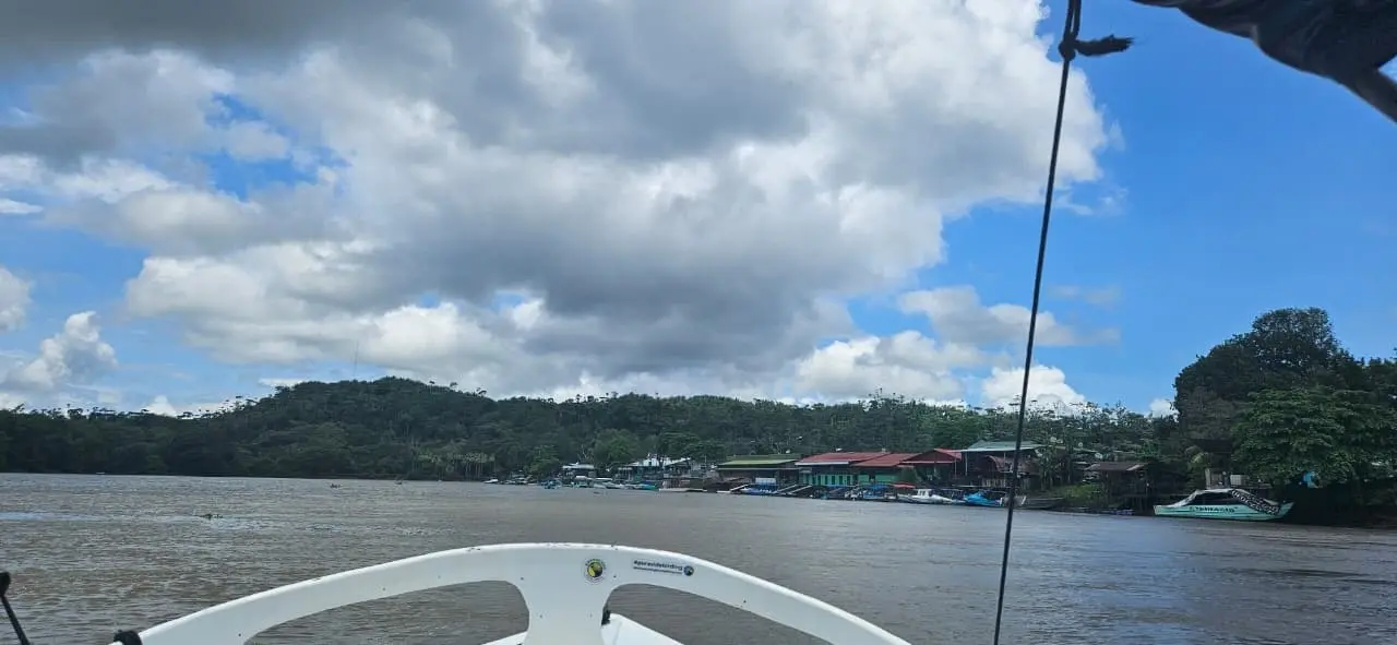 Wildlife Mangrove Boat Tour – 5