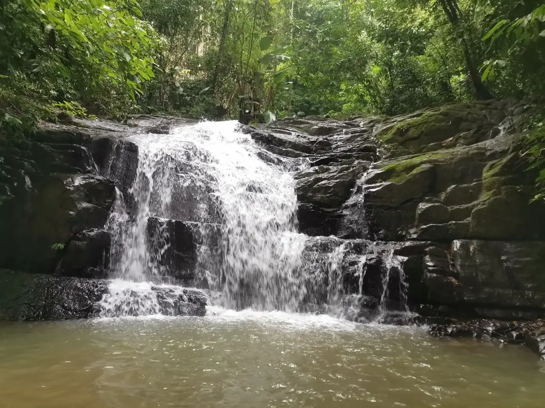 Uvita Rappelling – 5