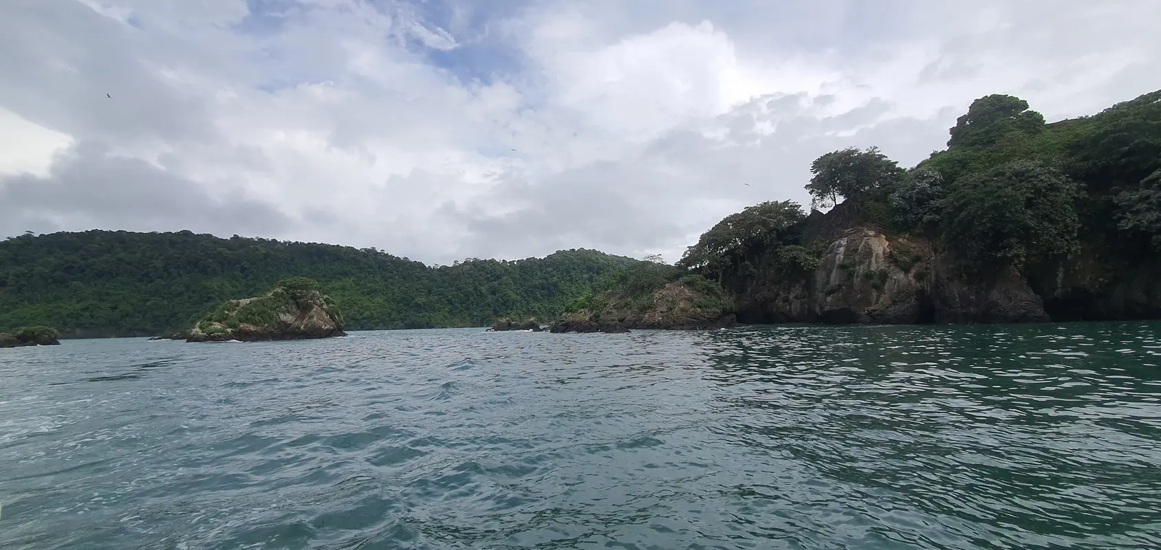 Violin Island: A Wild Paradise Amid Mangroves & Rivers – 3
