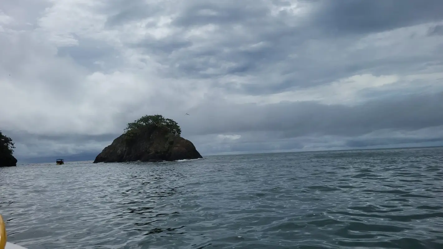 Violin Island: A Wild Paradise Amid Mangroves & Rivers – 4