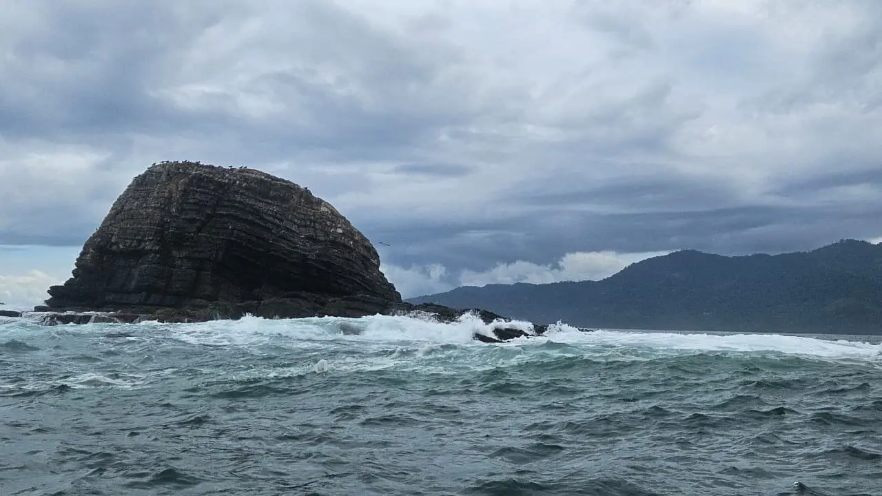 Uvita Whales & Dolphins Tour – 5